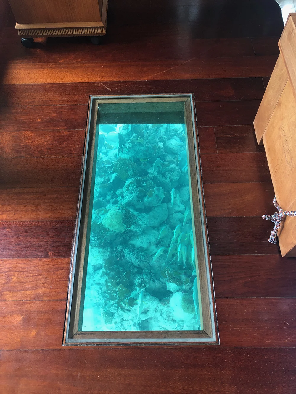 A closer look through the glass panels.