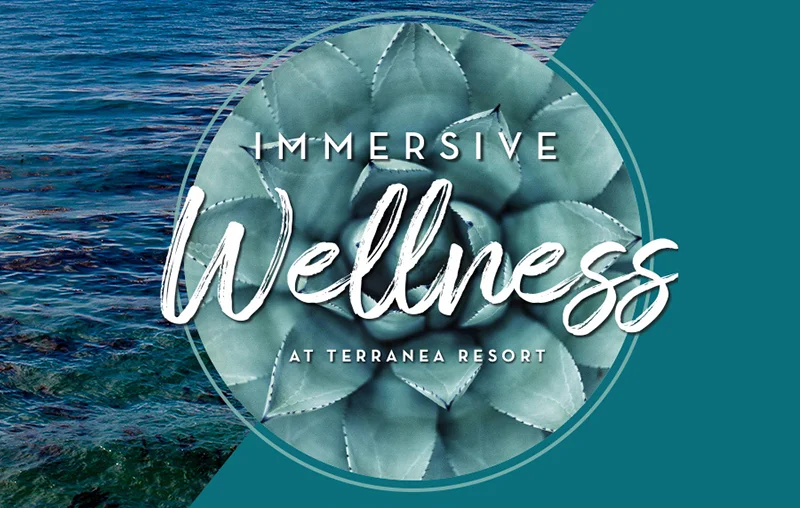 Immersive Wellness Retreat at Terranea Resort