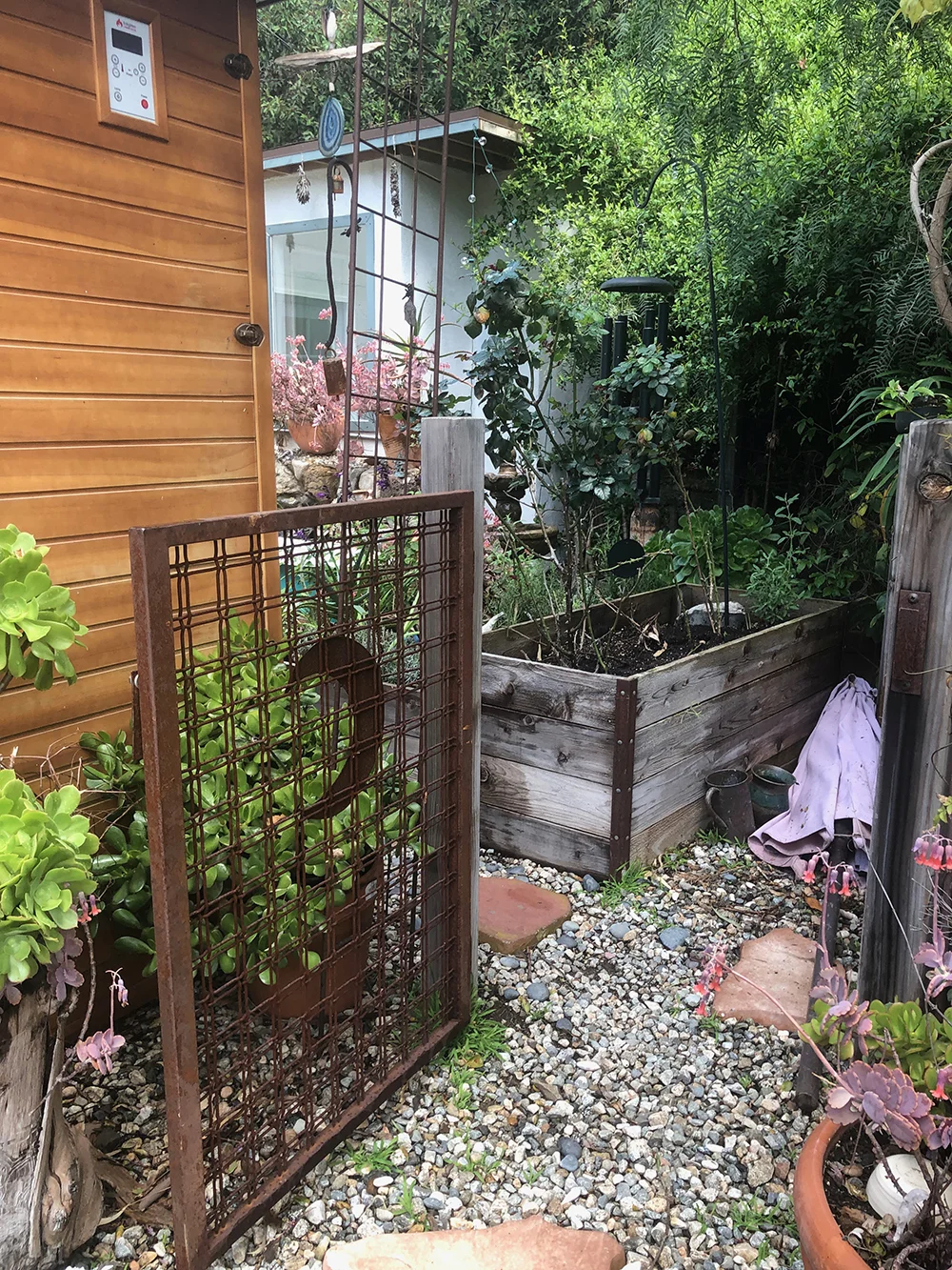 Jansen grows a variety of plants and herbs in the garden.