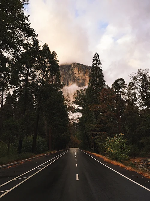 Our Favorite Products Inspired by National Parks