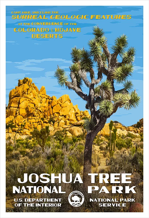 Joshua Tree.jpg