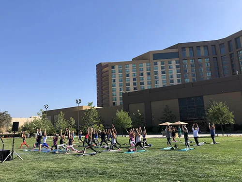 Pechanga Resort Casino Hosting Free Yoga and Meditation Series to Benefit Veterans