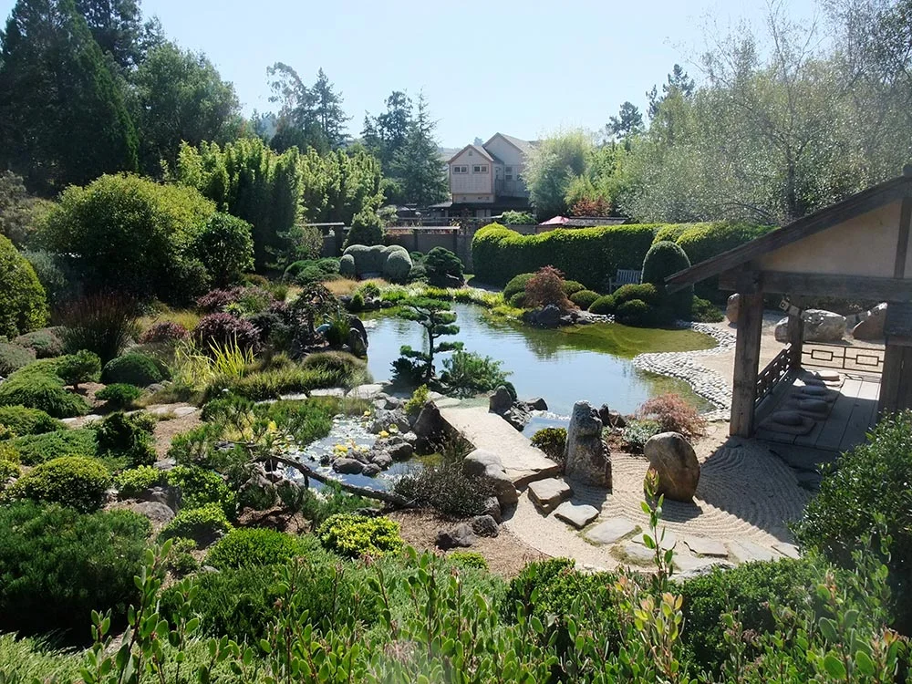 The Japanese-style gardens at Osmosis Day Spa Sanctuary.