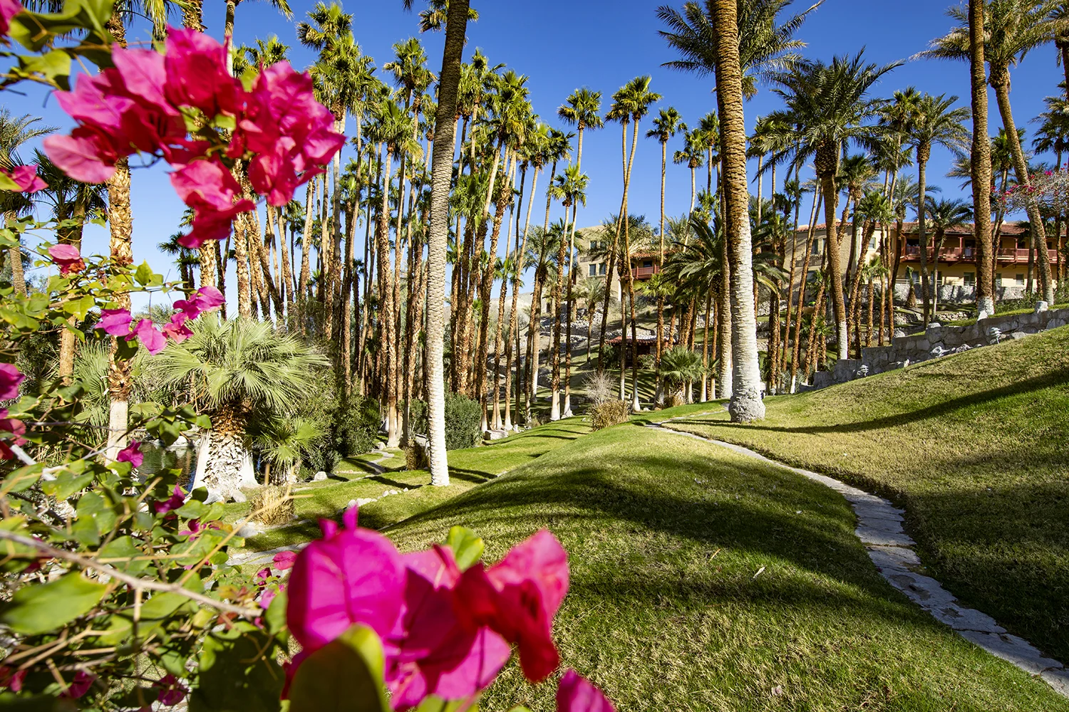 The beautiful gardens and grounds at The Oasis at Death Valley.