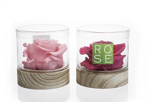 Behind the Brand: Natural Fragrance Rose Is the Green Revolution in Indoor Fragrance
