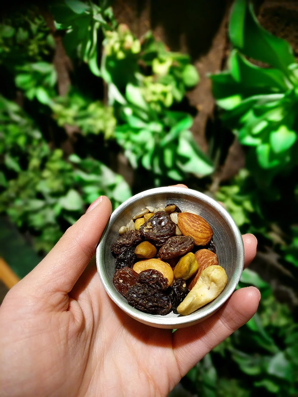 A mix of dried fruit and nuts makes for a perfect spa snack.