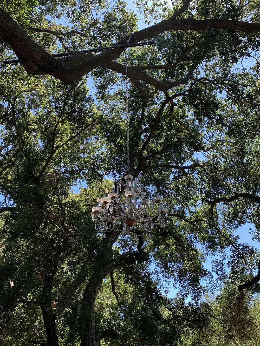 An outdoor chandelier hangs from a tree above.