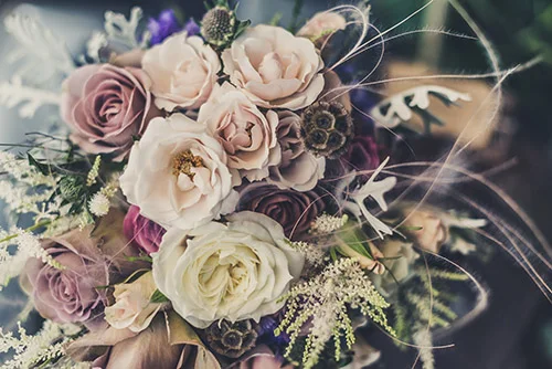 A Guide to Flower Reading
