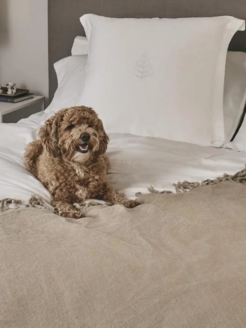 Four Seasons Hotels and Resorts Launches At Home Collection