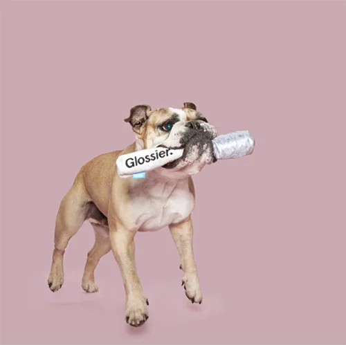 Glossier x Bark Launch Cutest Collab