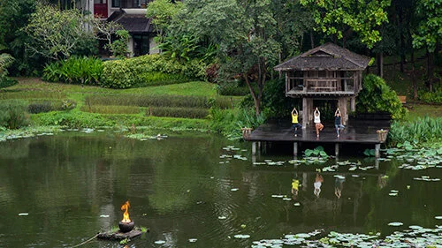 Four Seasons Resorts in Thailand Go Virtual for Global Wellness Day