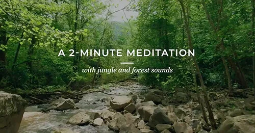 Escape to the Yucatán Jungle for a Special Meditation with Velas Resorts