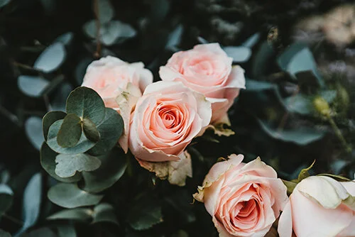 The Best Rose Beauty Products