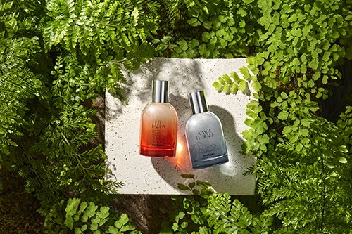 Fragrance Brand Sanctuary Brings Wildlfe Conservation to Beauty 