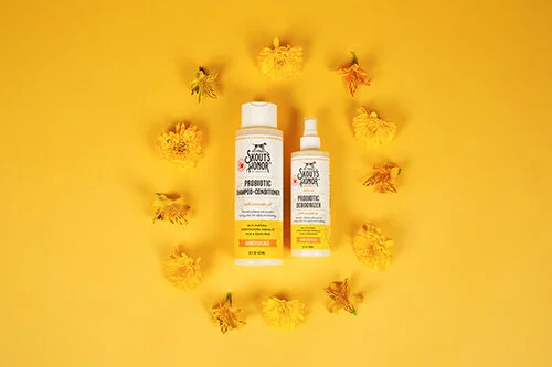 Behind the Brand: Skout's Honor Pet Care and Probiotic Grooming Products Promote Health and Wellness