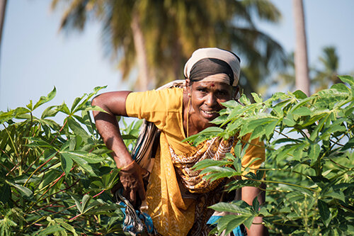 Meet Beautyologie, the First Online Fair Trade Beauty Marketplace for Ethically-Conscious Consumers