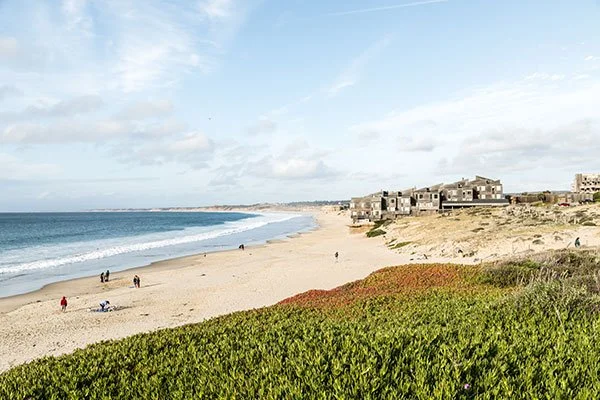 14 Top Things to Do in Monterey 
