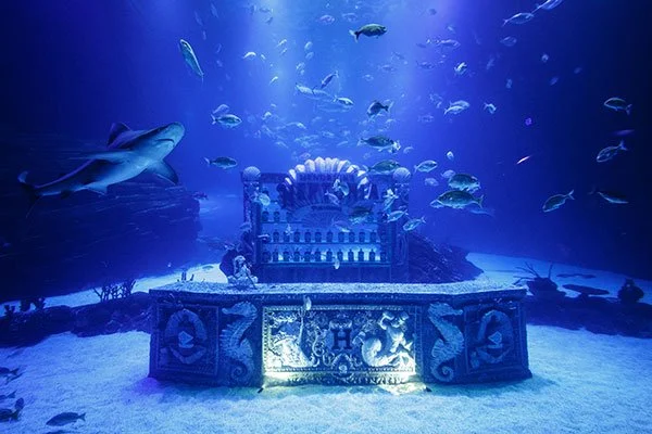 Neptunia Pubmarine, a Unique Underwater Bar from Hendrick's, Raises Funds for Marine Ecosystems and Celebrates Sea-Inspired Gin
