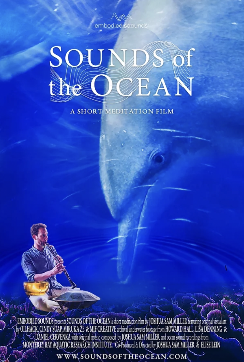 Joshua Sam Miller's Sounds of the Ocean is a Meditative Experience Connecting With Life Underwater