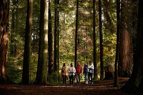 5 Top Wellness Trends from Fairmont Hotels &amp; Resorts
