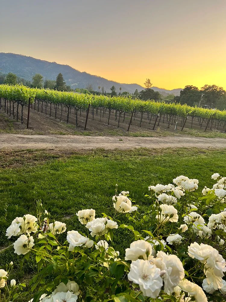 Feed Your Soul with a Weekend of Wine and Wellness at Harvest Inn