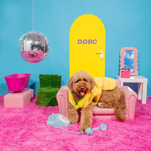 Behind the Brand: Dirty Dog Beauty Club Offers Playful and Effective Grooming Products That Are Safe for Pets