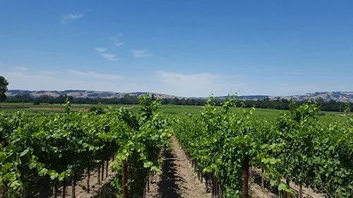 California Spa Guide: The Best Spas in Sonoma