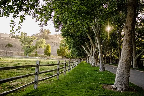Spa Profile: Alisal Spa at Alisal Ranch in Solvang, California Offers Restorative Treatments That Celebrate the Tranquility and Heritage of Santa Ynez Valley