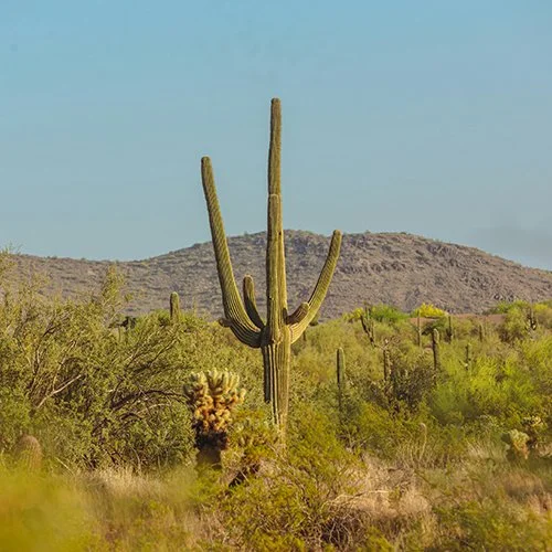 Arizona Spa Guide: The Best Spas in Tucson