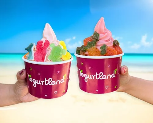 Yogurtland Teams Up With Princess Cruises For Summer Flavor Collab and Vacation Giveaway