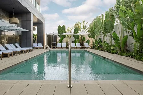 Escape to ette Hotel, an Orlando Oasis With Elegant Designer Touches and Urban Sensibilities