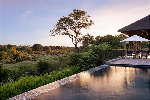 A Safari Destination From the Heart: Leopard Sands River Lodge at Kruger National Park in Mpumalanga, South Africa 