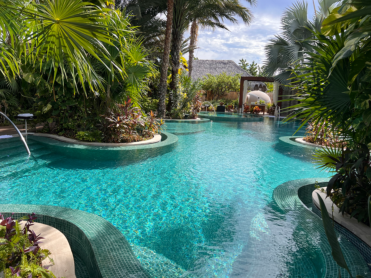 Spa outdoor swimming pool surrounded by lush green plants.