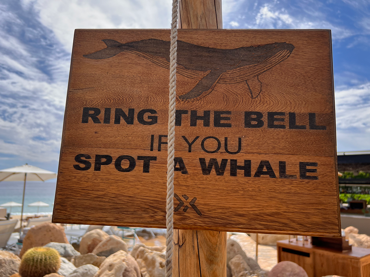 A sign that says, "Ring the Bell if You Spot a Whale."