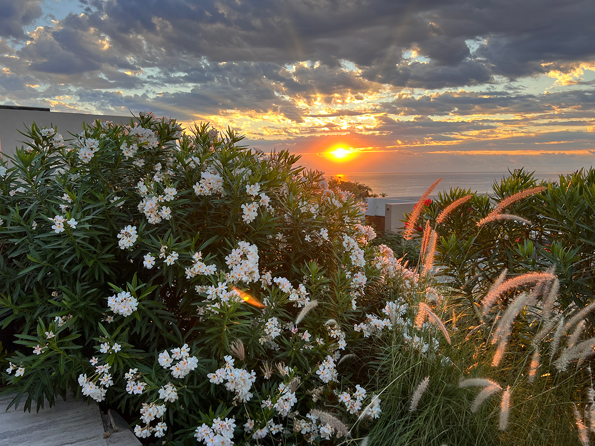 Sunrise from my terrace at Sensei at Zadún, a Ritz-Carlton Reserve.