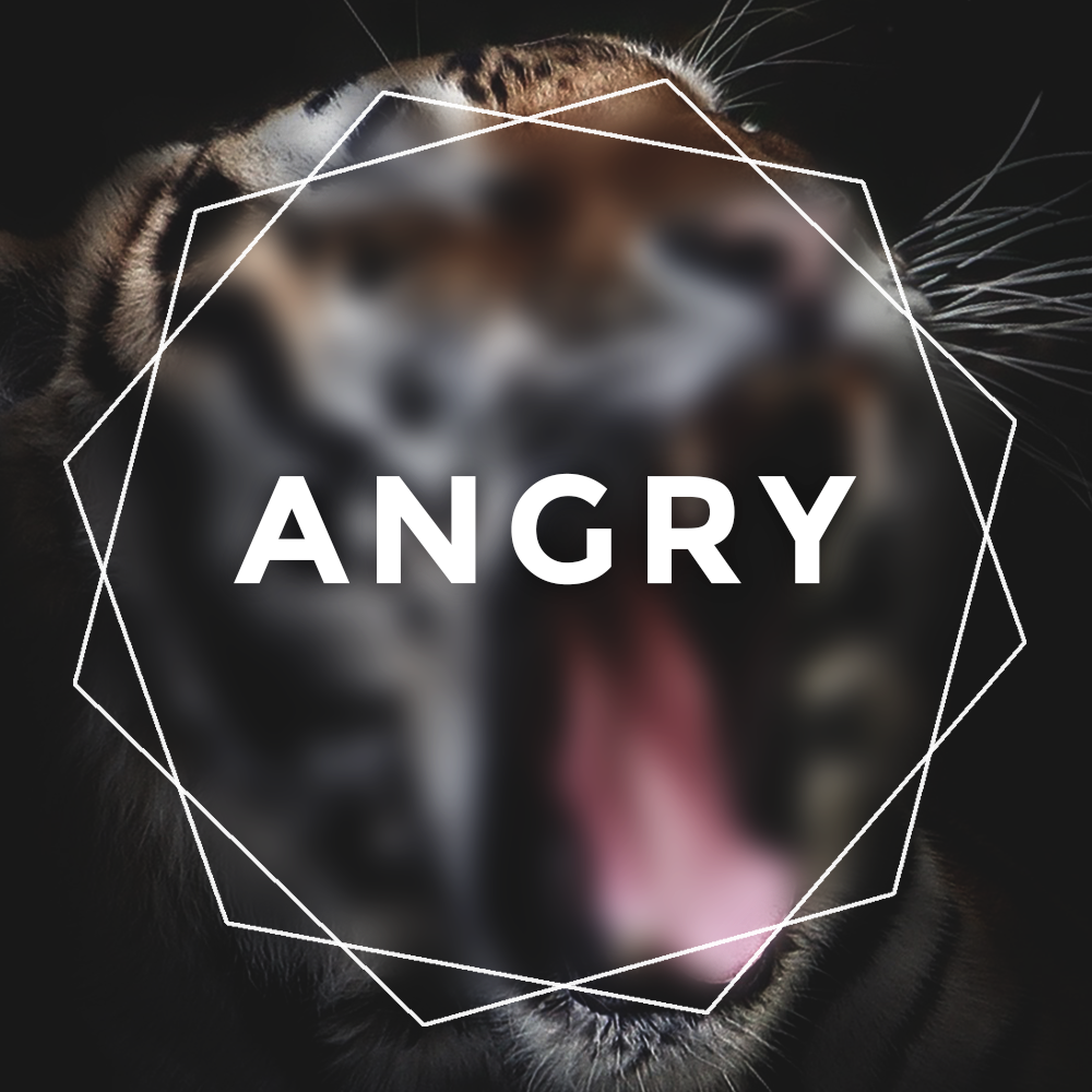 angry.png