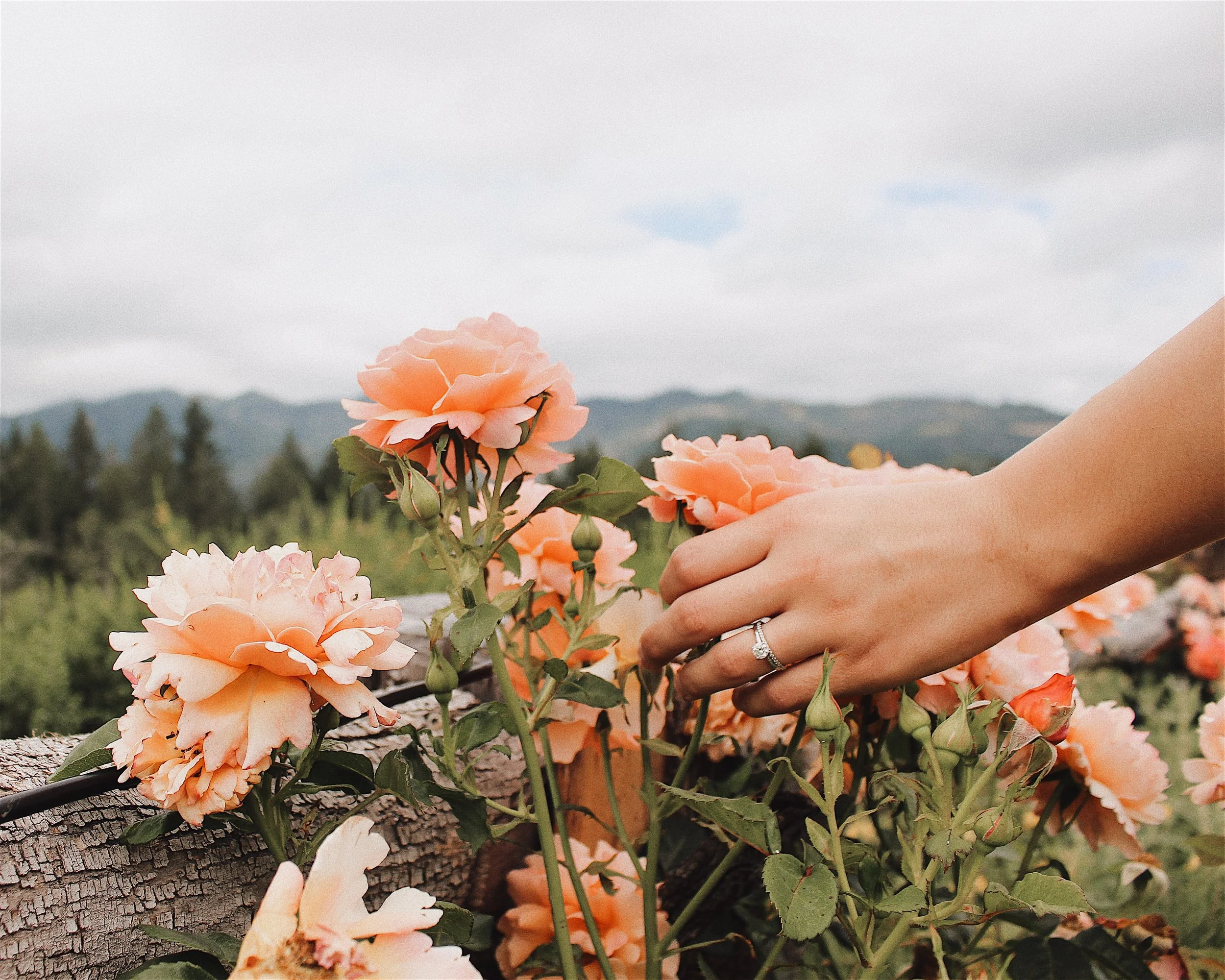 Finding "The One" Part Two