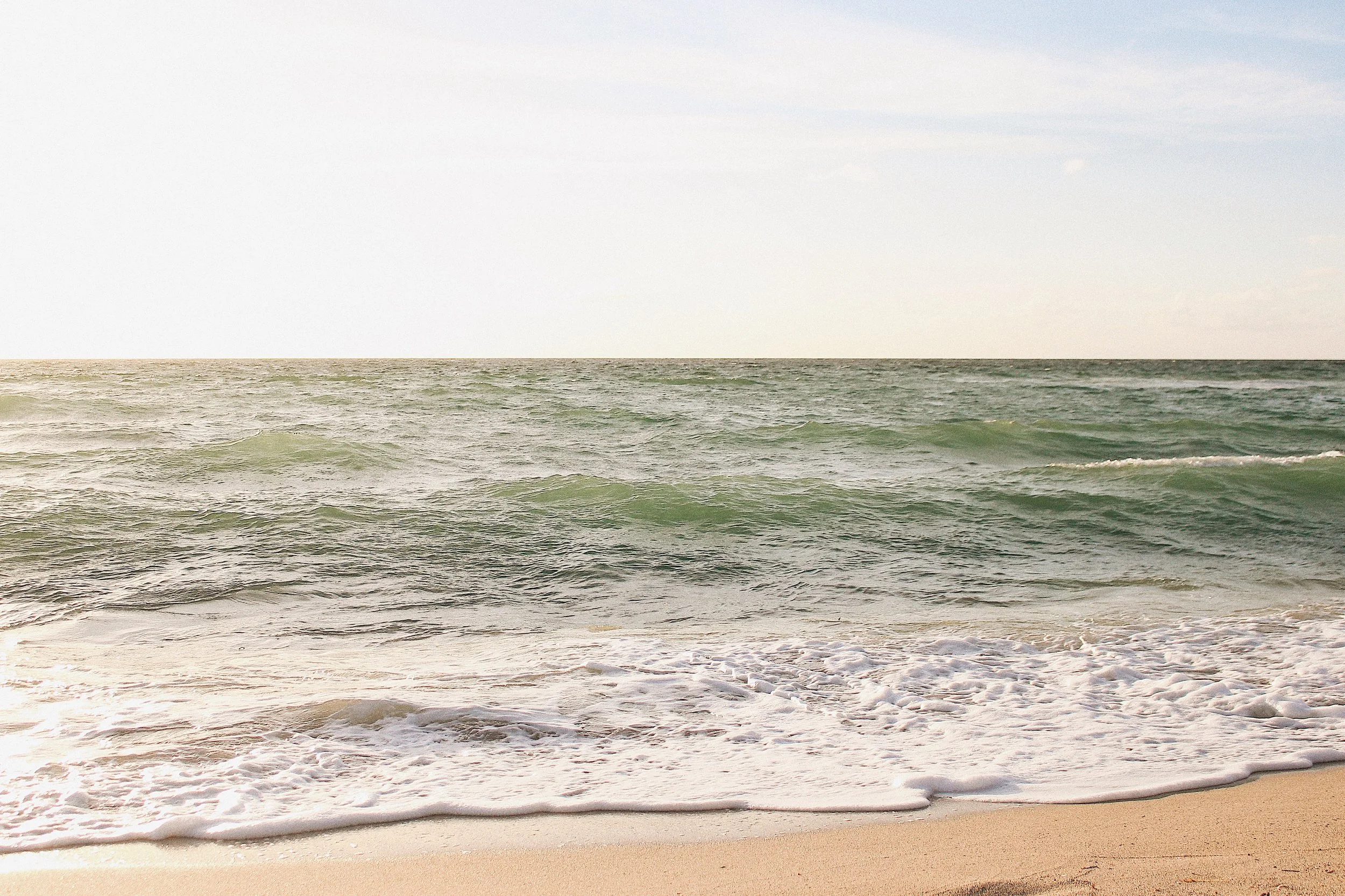 Introducing... Oceans and Evergreens