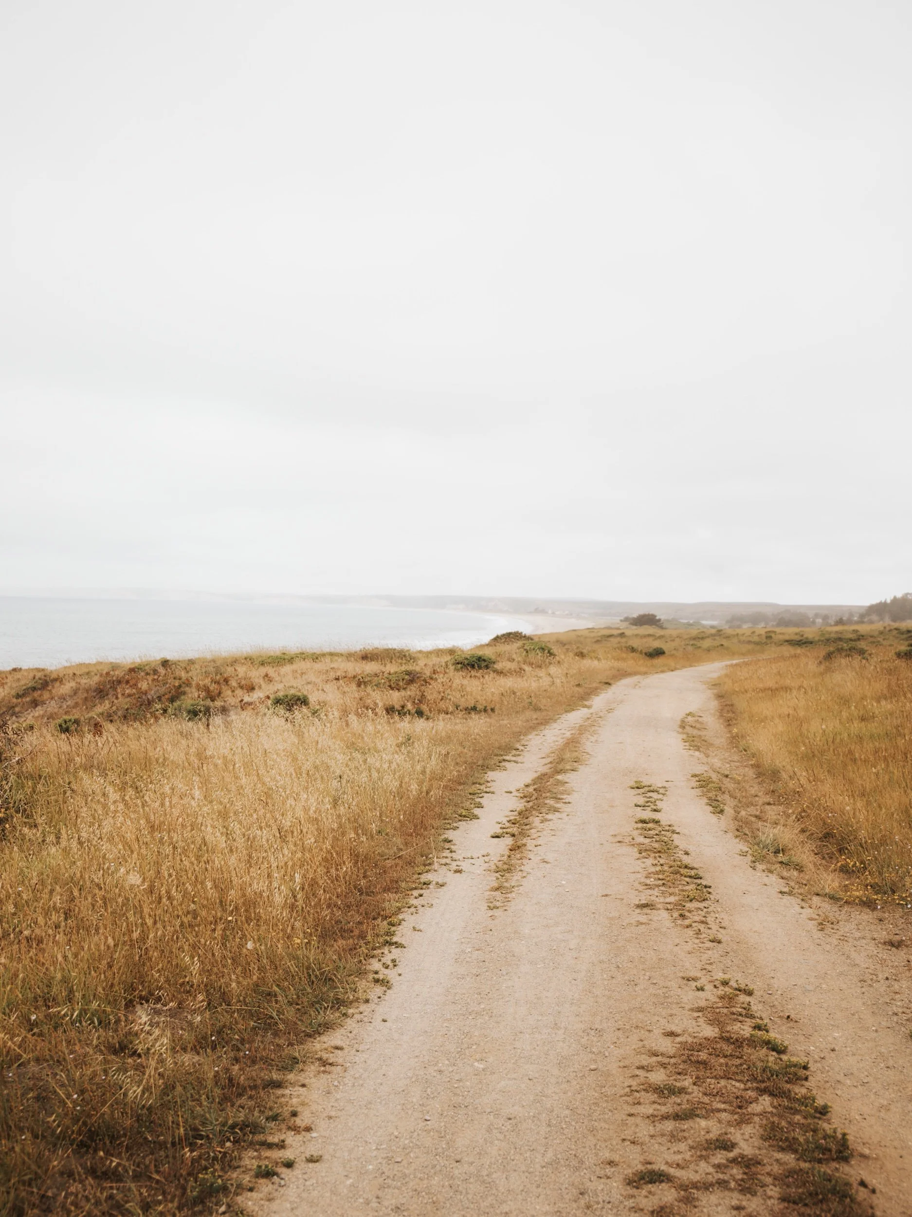 Debt Free! How We Paid Off Over $240,000 in Debt!