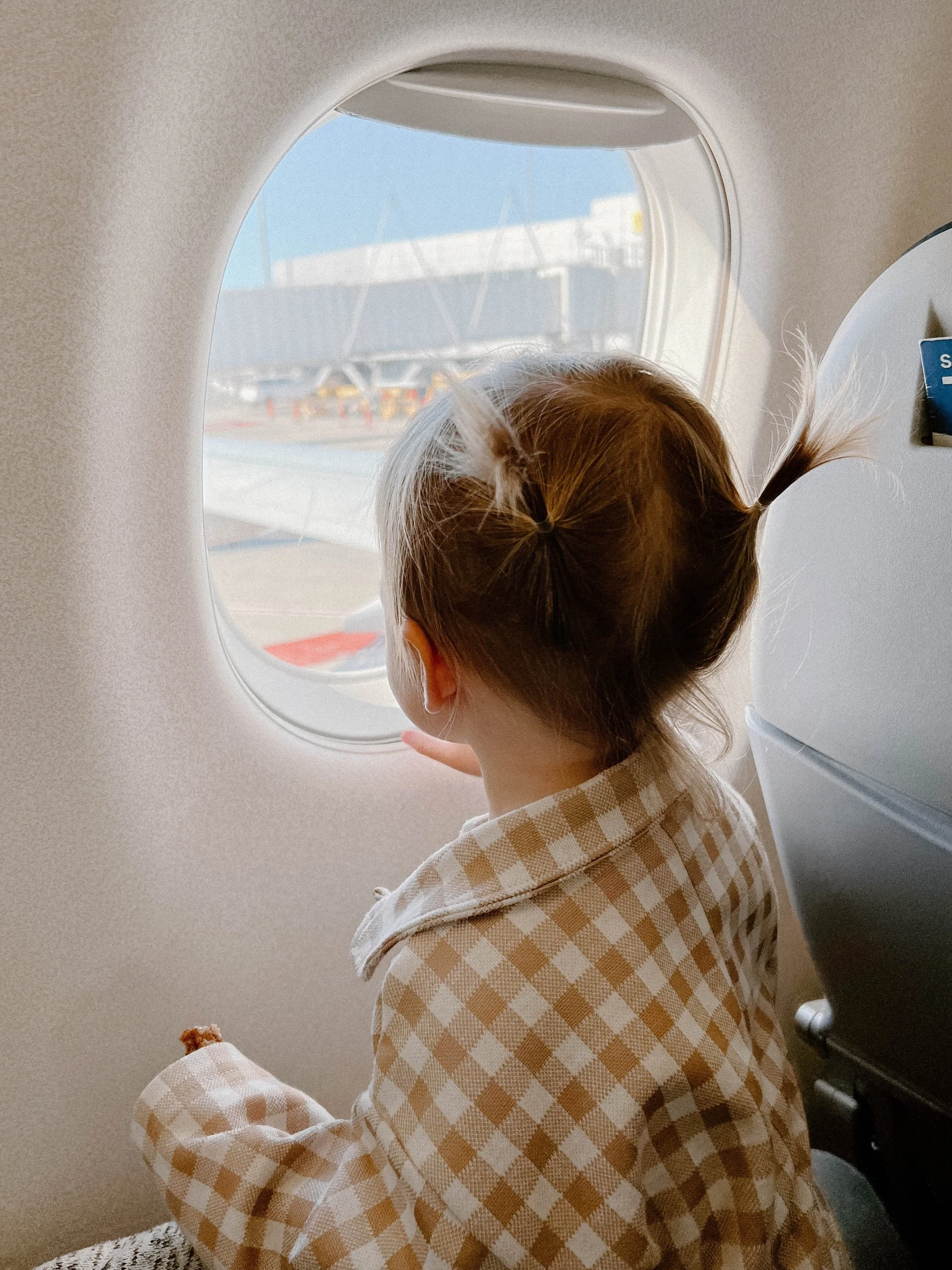 Tips For Traveling With A Lap Infant