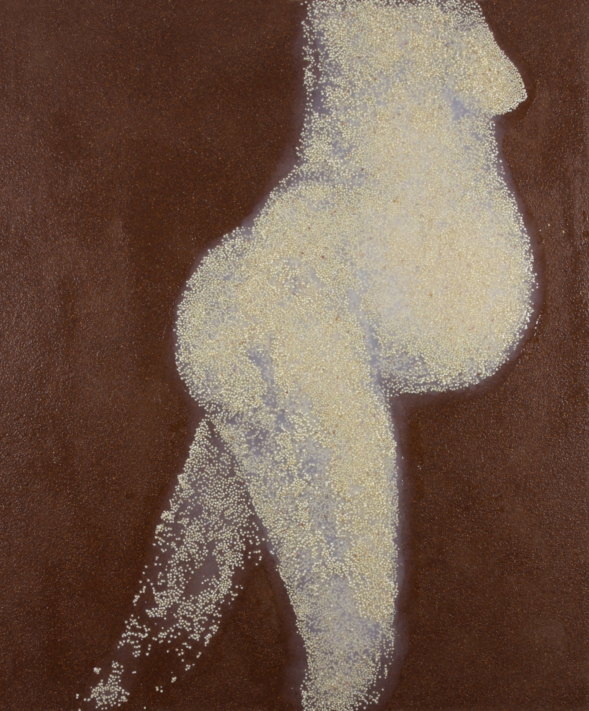 Who Cares Whose Seed It Is! It’s My Pregnancy. No. 9 Husked Kaoliang, Aniseed Powder, Silicone 120 x 100 cm 2008