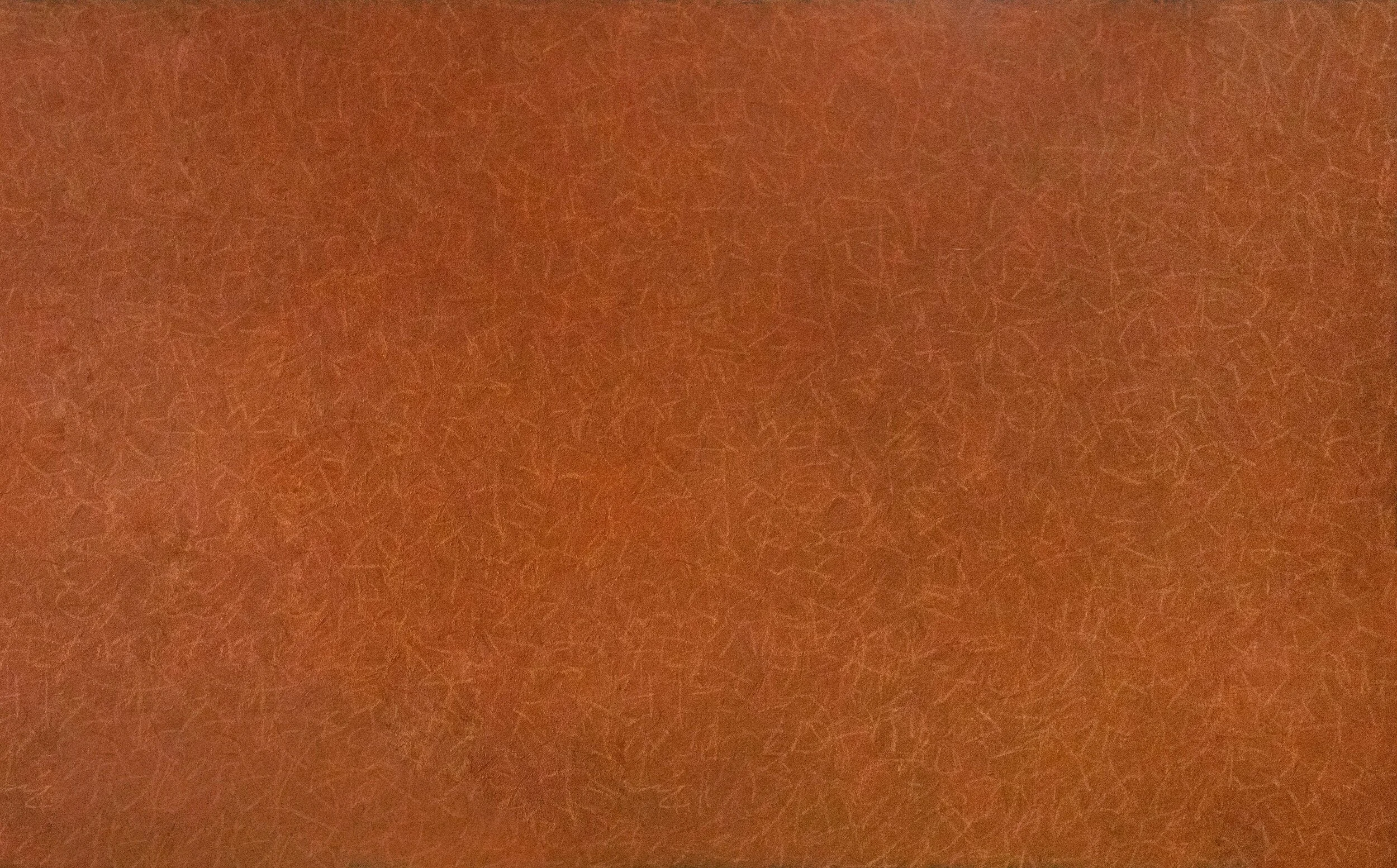 Yarlung TsangpoOil on Canvas   170 x 272 cm   2020
