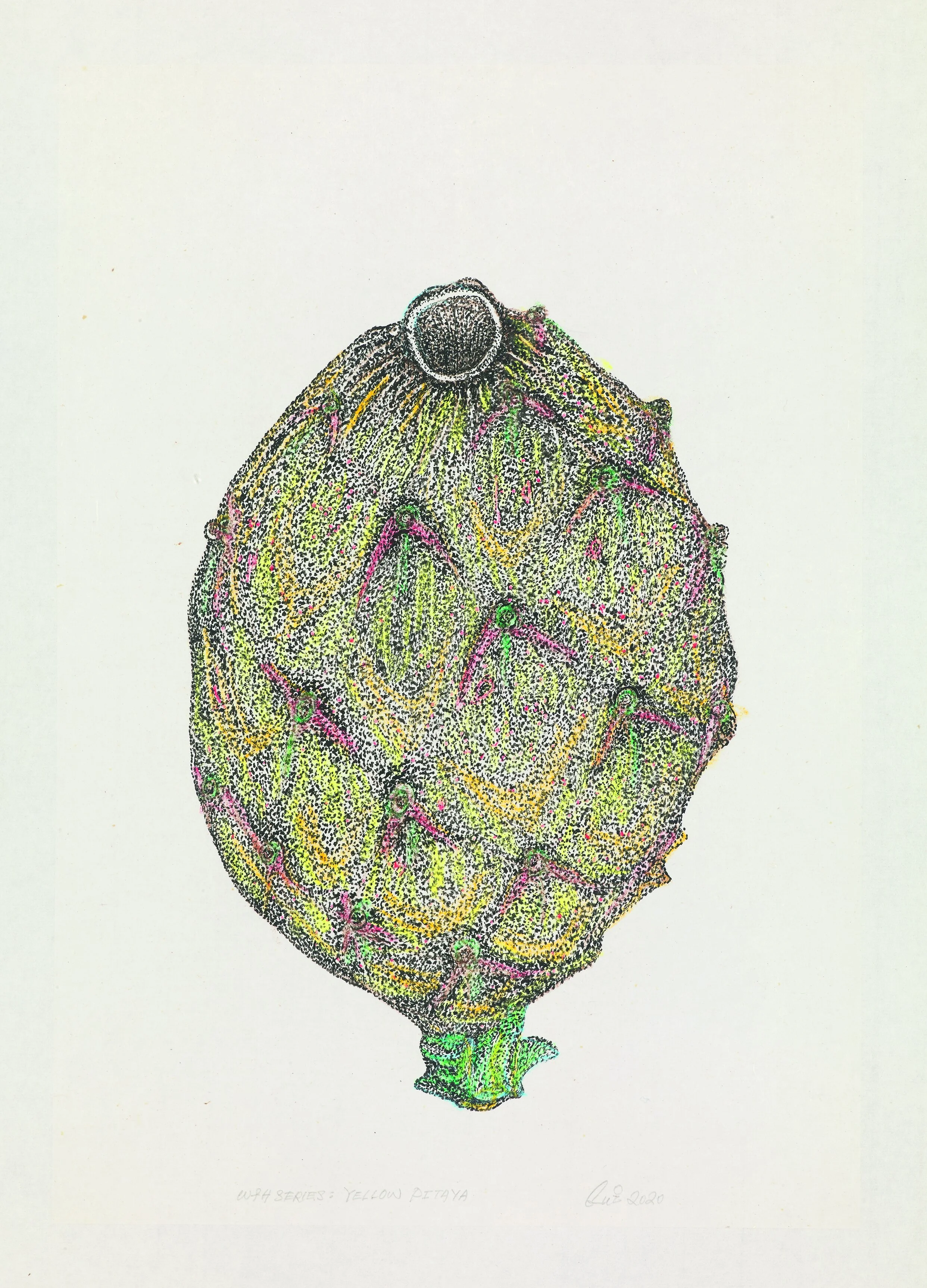 WFH Series - Yellow Pitaya Ink and Colour on Paper 39.5 x 27.5 cm 2020