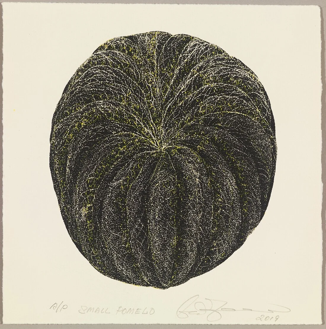 Small Pomelo Silkscreen 20 x 20 cm Edition of 30