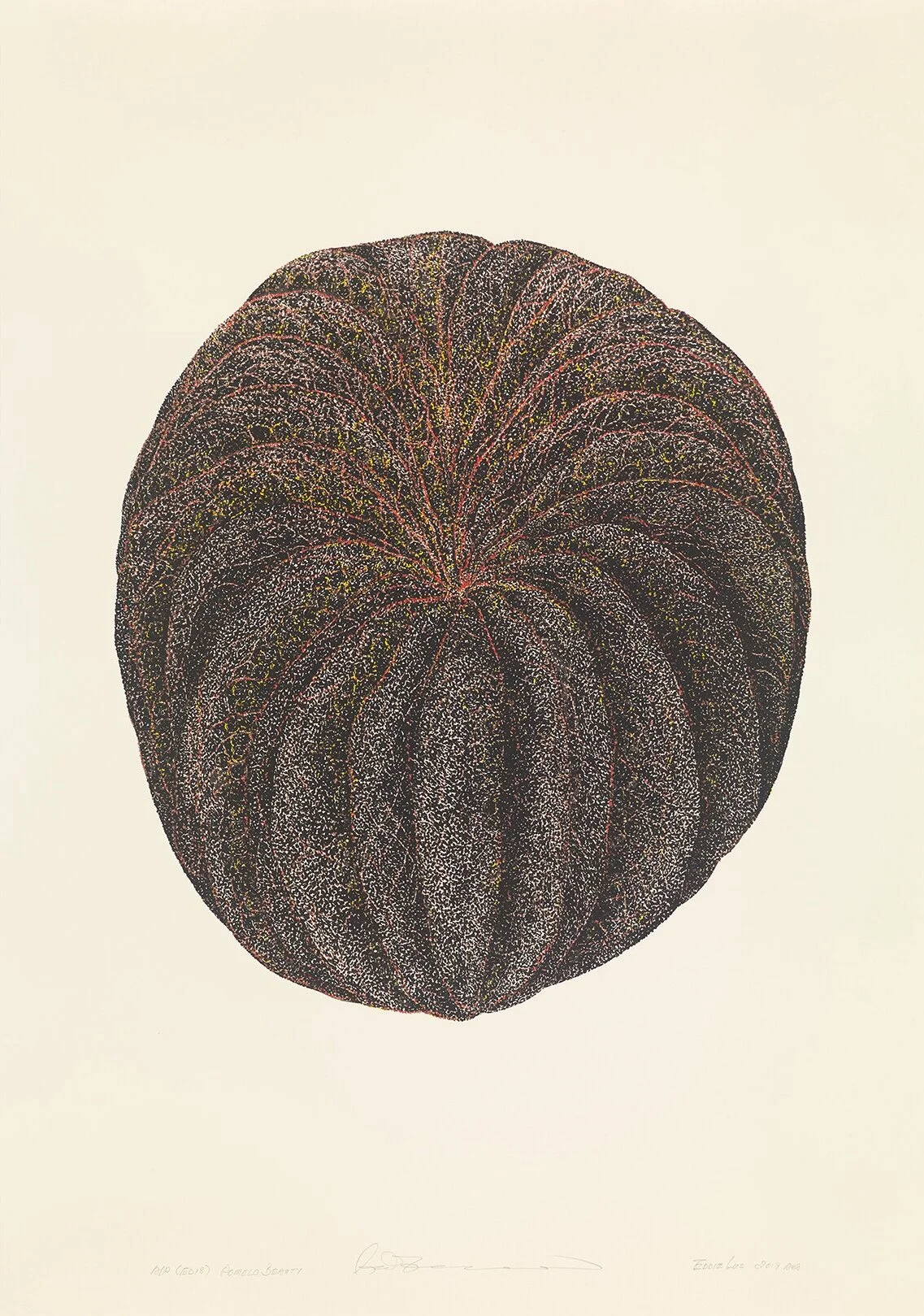 Pomelo Beauty Silkscreen 105.8 x 74.5 cm 2019 Edition of 18