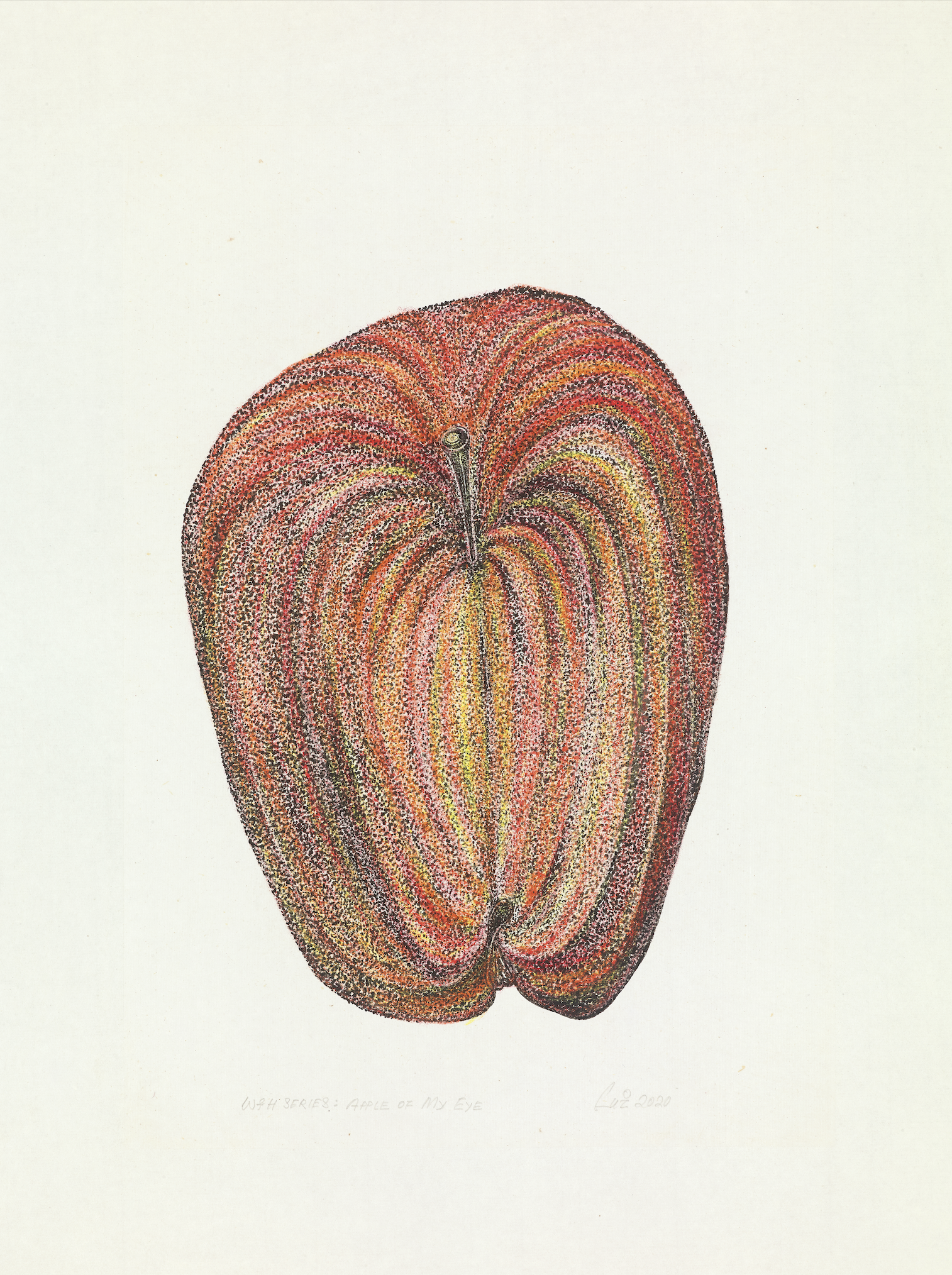 WfH Series - Apple of My EyeInk and Colour on Paper  39.5 x 27.5 cm  2020
