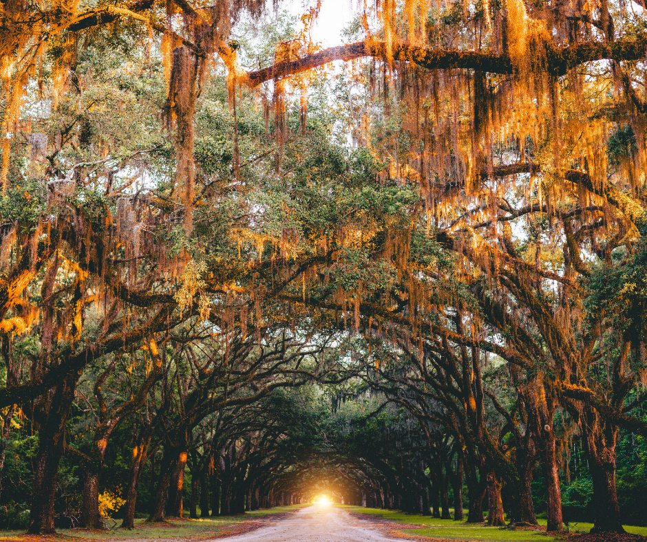 Coming Out As A Lightworker 