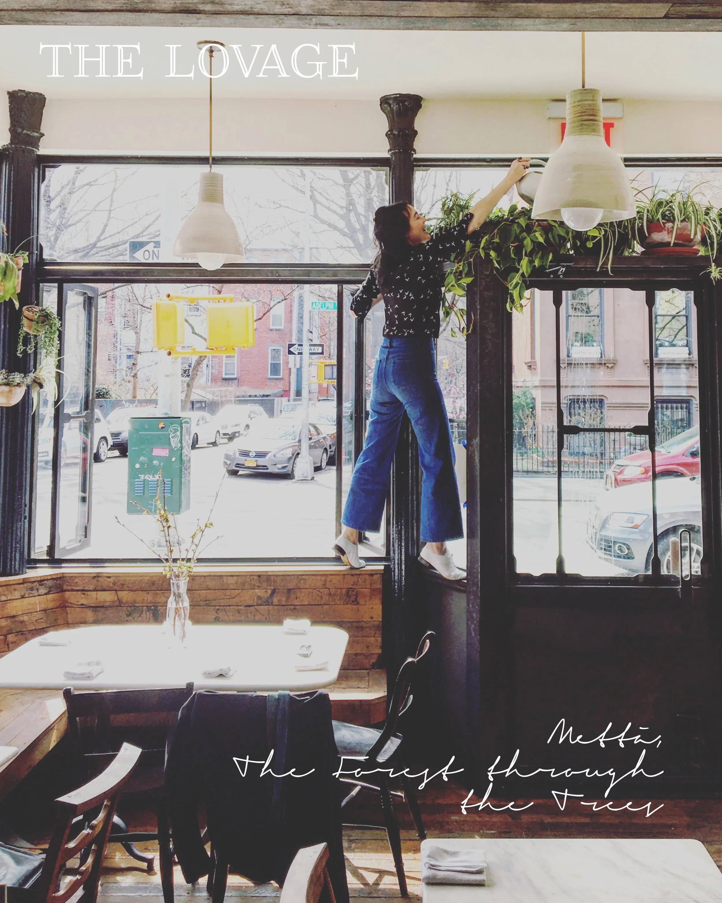 The Lovage, A Diary: Mettā, the Forest Through the Trees