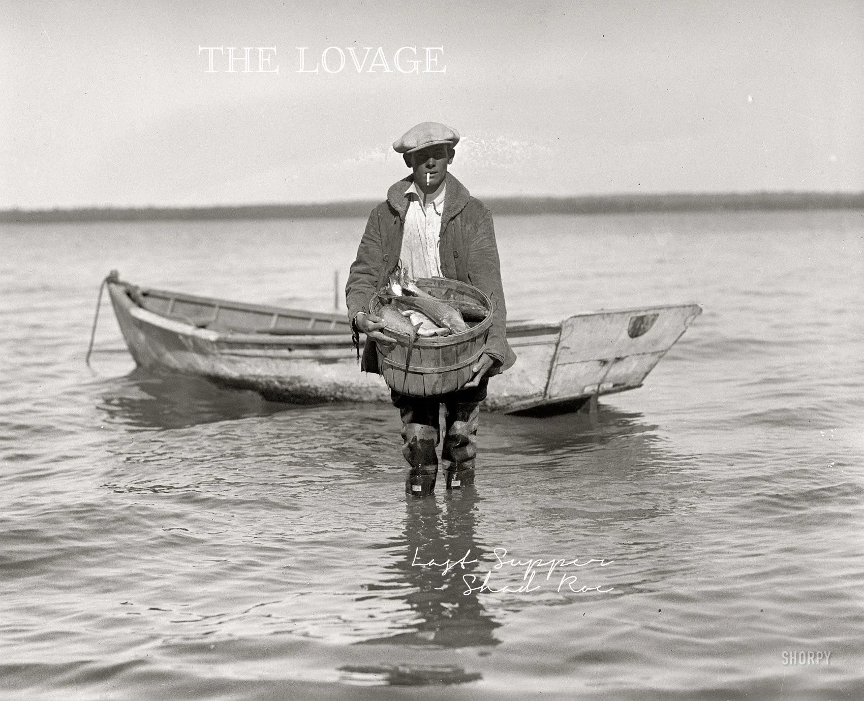 The Lovage, A Diary: Last Supper – Shad Roe