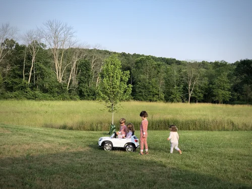 The Lovage A Diary Marta S Fish Tacos The Lovage